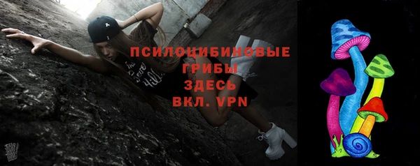 шишки Бугульма